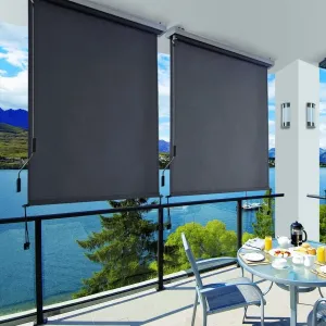 SONGMICS Vertikálna markíza Orrine 250x160 cm sivá
