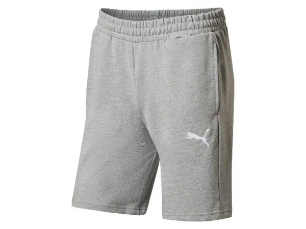 Puma Pánske teplákové šortky TeamGOAL Casuals (sivá, M)