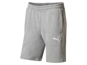 Puma Pánske teplákové šortky TeamGOAL Casuals (sivá, M)