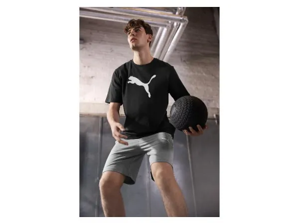 Puma Pánske teplákové šortky TeamGOAL Casuals (sivá, M)