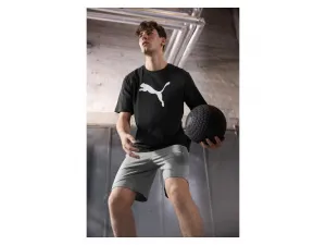 Puma Pánske teplákové šortky TeamGOAL Casuals (sivá, M)