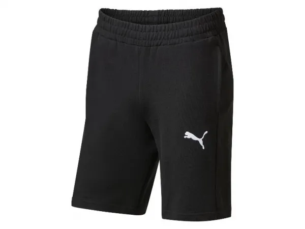 Puma Pánske teplákové šortky TeamGOAL Casuals (čierna, L)