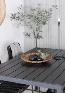 Elvisia Záhradný set TORVEN 4 + 1 | antracit