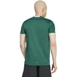 adidas DESIGNED FOR TRAINING TEE Pánske tréningové tričko, zelená, veľkosť