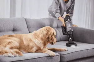 Tyčový vysávač Rowenta X-Force Flex 14.80 RH9B74WO Zlatý/Čierny