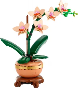 LEGO® Botanicals 10343 Miniatúrna orchidea