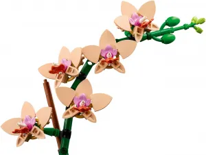 LEGO® Botanicals 10343 Miniatúrna orchidea