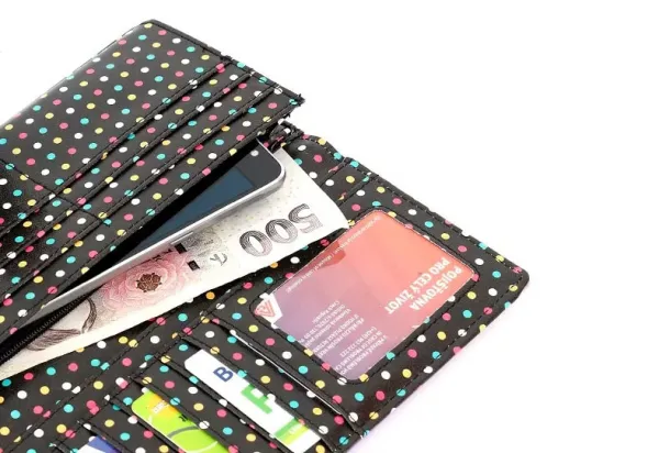 VUCH Hermione Wallet