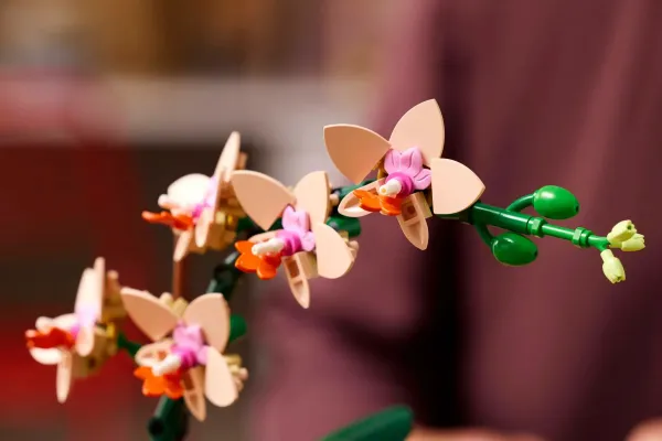 LEGO® Botanicals 10343 Miniatúrna orchidea