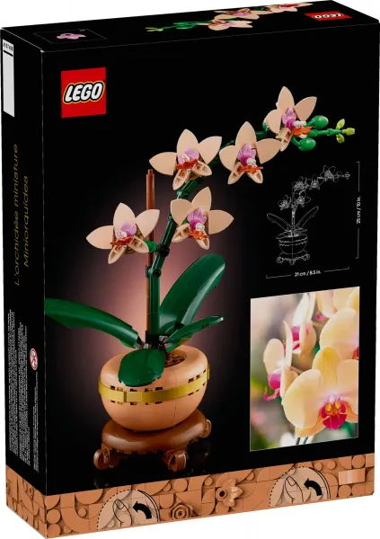 LEGO® Botanicals 10343 Miniatúrna orchidea