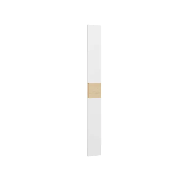 ArtExt Dvierka skrine DOX FD250 | 25 cm Farba: Dub evoke / grafit