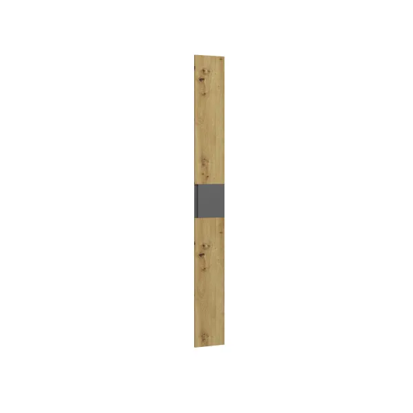 ArtExt Dvierka skrine DOX FD250 | 25 cm Farba: Dub evoke / grafit