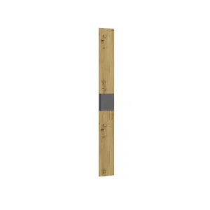 ArtExt Dvierka skrine DOX FD250 | 25 cm Farba: Dub evoke / grafit