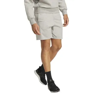 adidas BIG LOGO SHORTS Pánske kraťasy, sivá, veľkosť