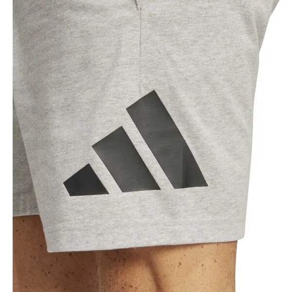 adidas BIG LOGO SHORTS Pánske kraťasy, sivá, veľkosť