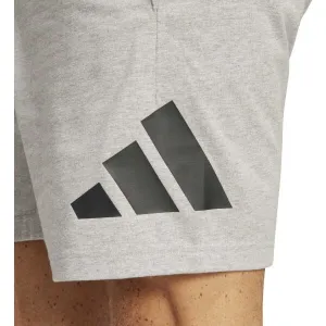 adidas BIG LOGO SHORTS Pánske kraťasy, sivá, veľkosť