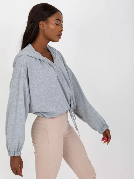 Sweatshirt-RV-BL-8081.36P-gray