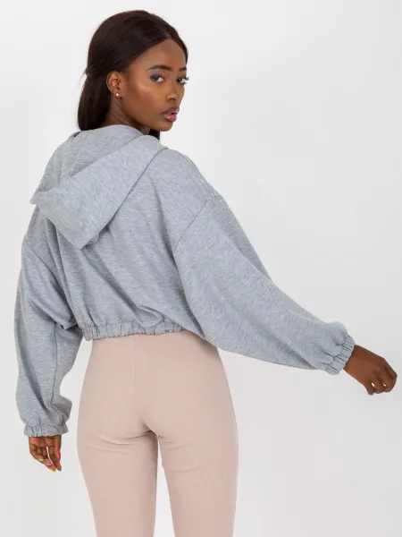 Sweatshirt-RV-BL-8081.36P-gray