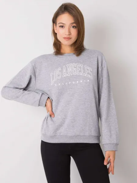 Sweatshirt-RV-BL-6669.10-gray