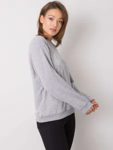 Sweatshirt-RV-BL-6669.10-gray