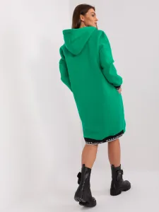 Sweatshirt-RV-BL-6832-2.00P-green