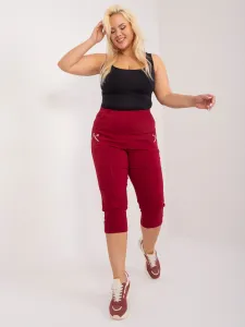 Trousers-AT-SP-73019.43-burgundy