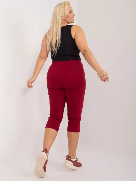 Trousers-AT-SP-73019.43-burgundy