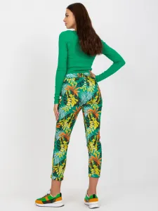 Sweatpants-RV-DR-7956.31-green