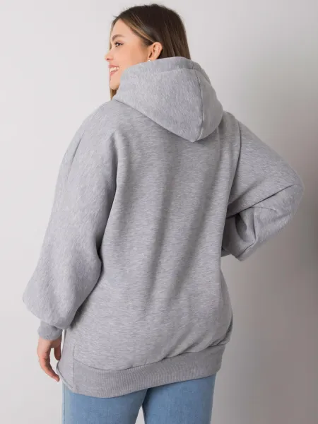 Sweatshirt-RV-BL-7282.22P-grey