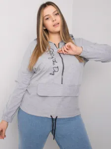 Sweatshirt-RV-BL-7179.27-gray