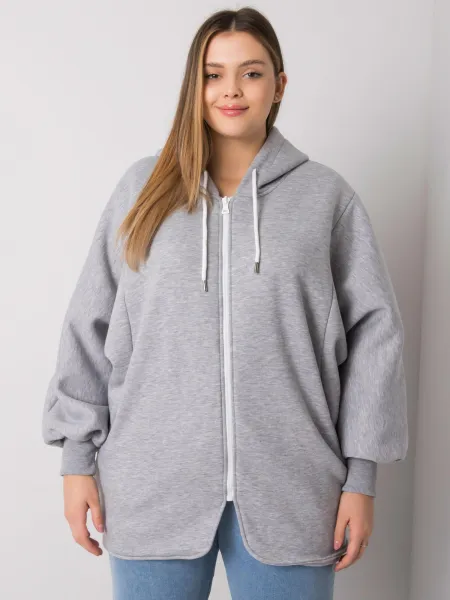 Sweatshirt-RV-BL-7282.22P-grey