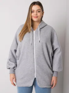 Sweatshirt-RV-BL-7282.22P-grey