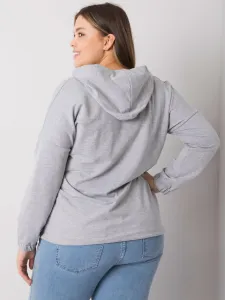 Sweatshirt-RV-BL-7179.27-gray