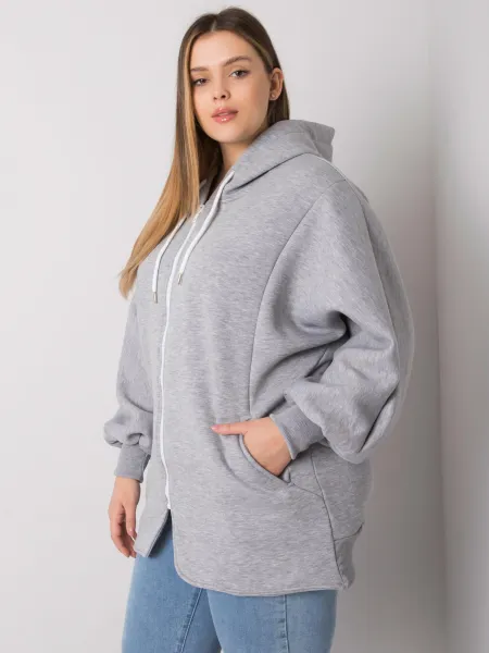 Sweatshirt-RV-BL-7282.22P-grey