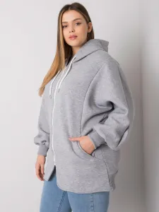 Sweatshirt-RV-BL-7282.22P-grey