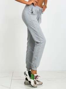 Sweatpants-RV-DR-5040.08X-gray