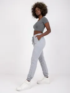 Sweatpants-RV-DR-5040.08X-gray
