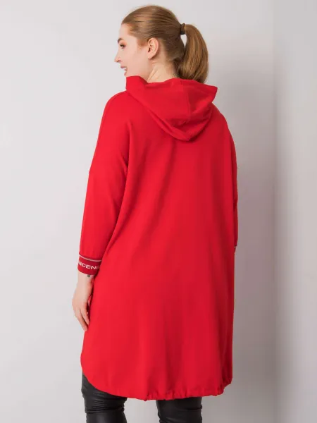 Sweatshirt-RV-BL-6849.63P-red