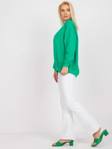 Sweatshirt-RV-BL-5185.73P-green