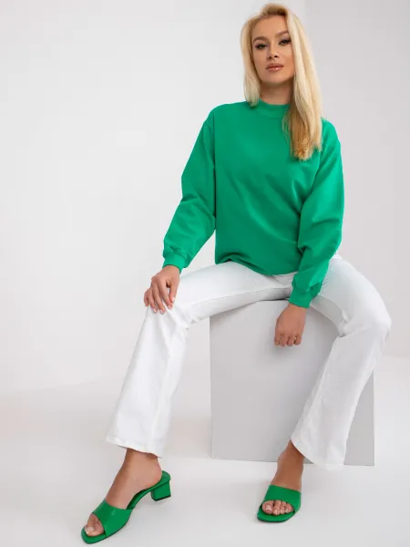 Sweatshirt-RV-BL-5185.73P-green