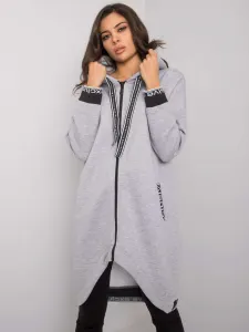 Sweatshirt-RV-BL-6832.10-gray