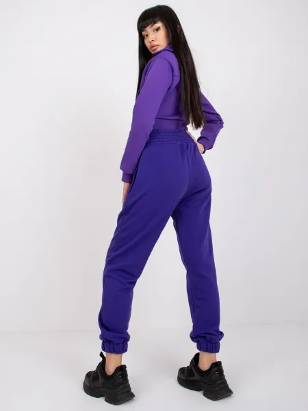 Sweatpants-RV-DR-7460.11-dark purple