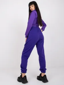 Sweatpants-RV-DR-7460.11-dark purple