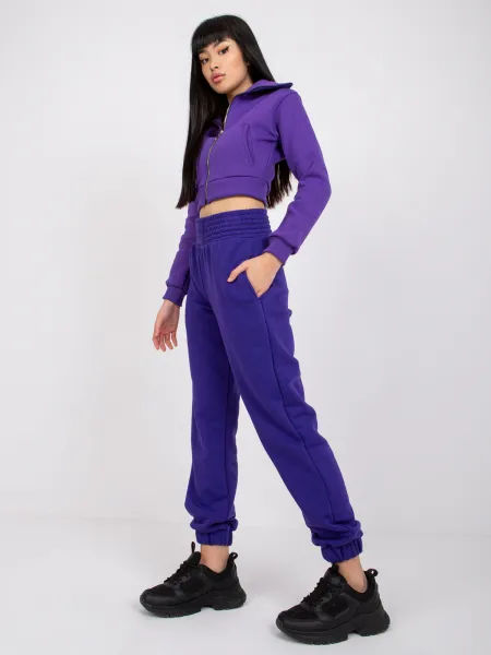 Sweatpants-RV-DR-7460.11-dark purple