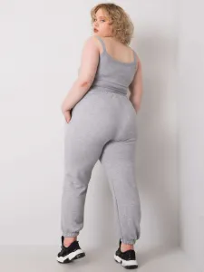 Sweatpants-RV-DR-6331.86-gray