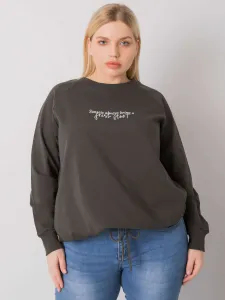 Sweatshirt-RV-BL-7162.12P-dark khaki