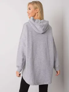 Sweatshirt-RV-BL-7096.37P-gray
