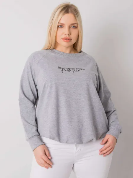 Sweatshirt-RV-BL-7162.12P-grey