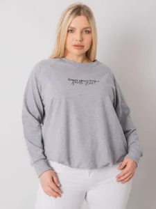 Sweatshirt-RV-BL-7162.12P-grey