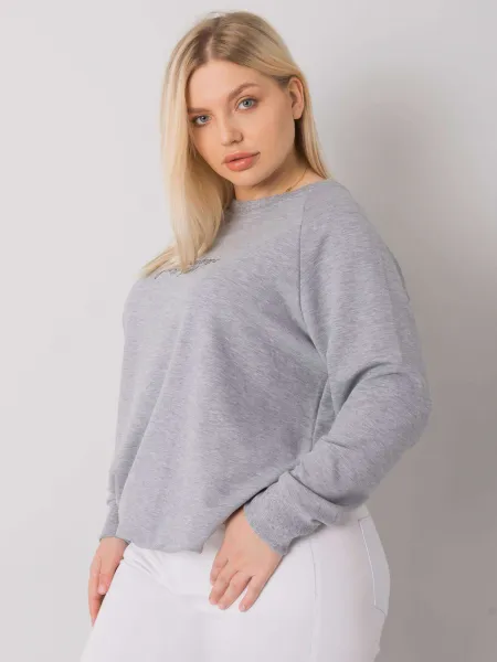 Sweatshirt-RV-BL-7162.12P-grey